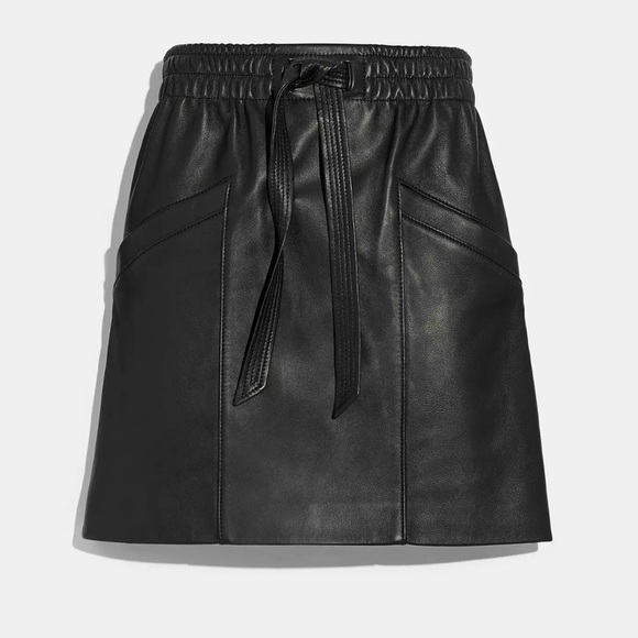 NWT Coach Luxe Lamb Skin Leather Skirt with Elastic Waist Size 2 - Picture 1 of 8
